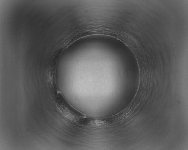 X0000075340607200610061656