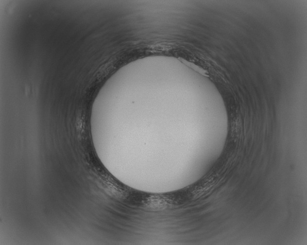 X0000075340608200610061656