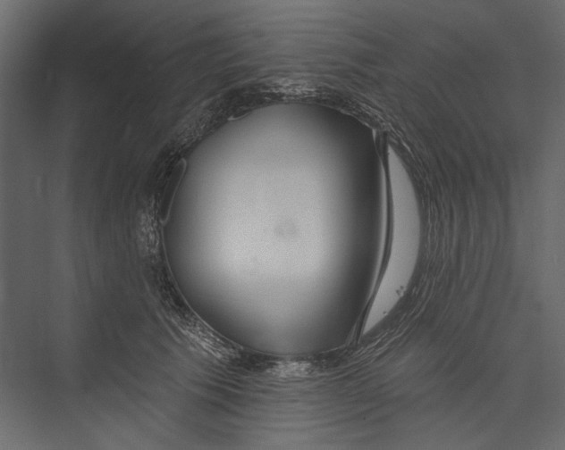 X0000075340609200610061656