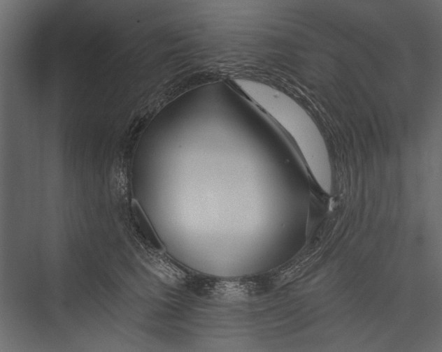 X0000075340613200610061656