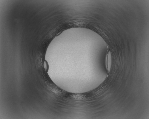 X0000075340615200610061656