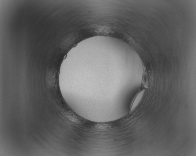 X0000075340619200610061656