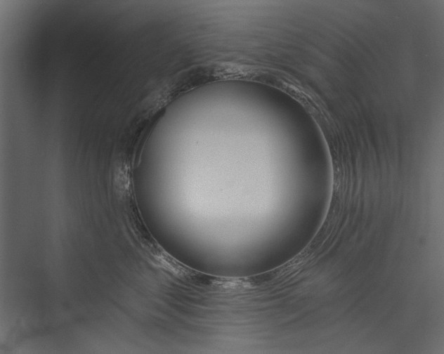 X0000075340621200610061656