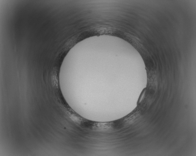 X0000075340622200610061656