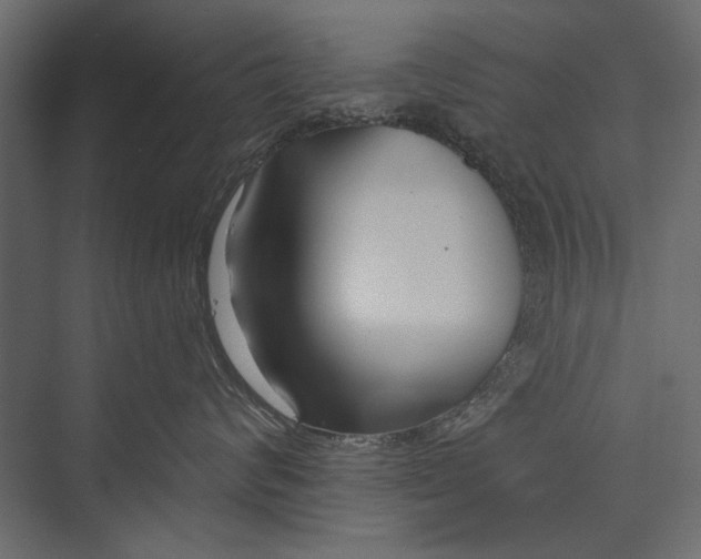 X0000075340624200610061656