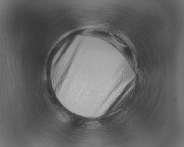 X0000075340628200610061655