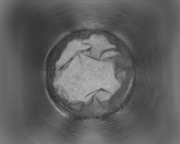 X0000075340630200610061655