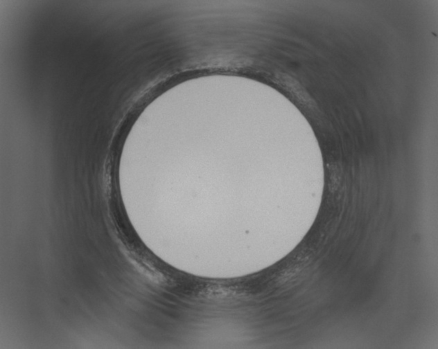 X0000075340632200610061655