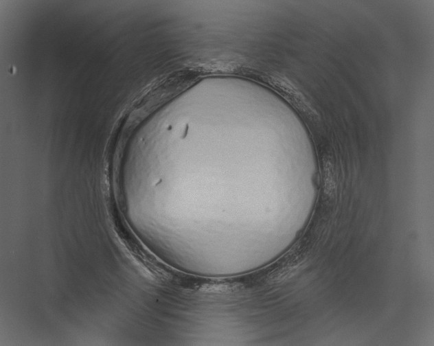 X0000075340634200610061656