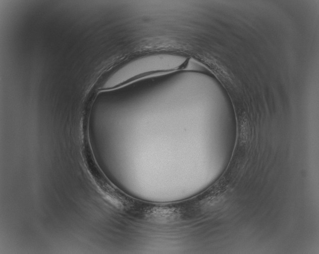 X0000075340638200610061656