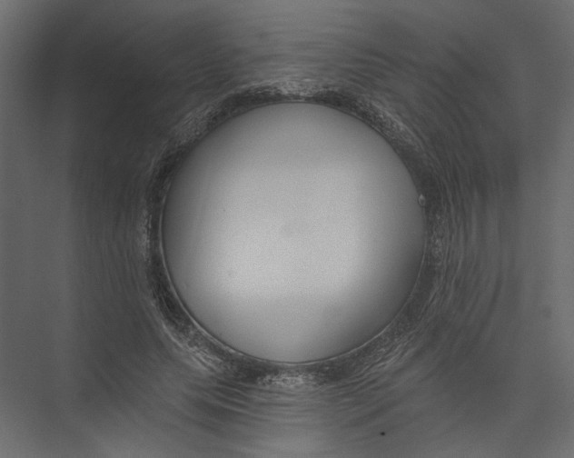X0000075340639200610061656