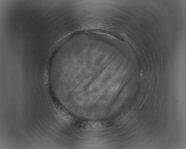X0000075340640200610061656