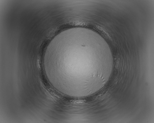 X0000075340643200610061656