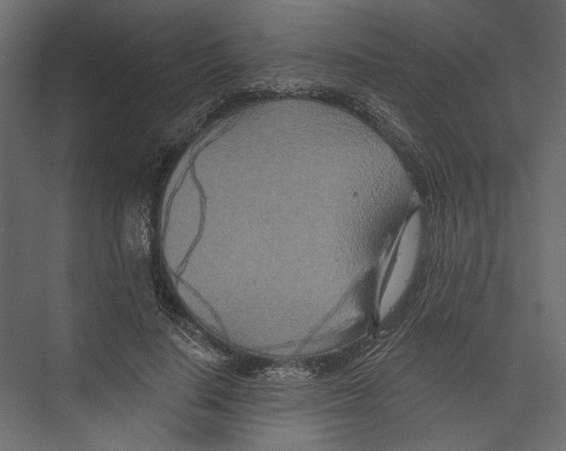 X0000075340644200610061656
