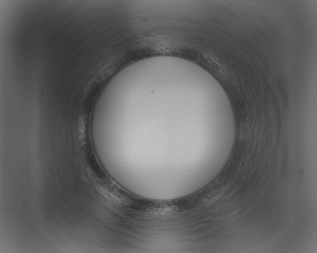 X0000075340646200610061656