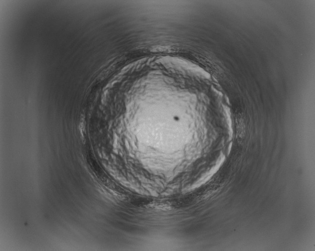 X0000075340648200610061656