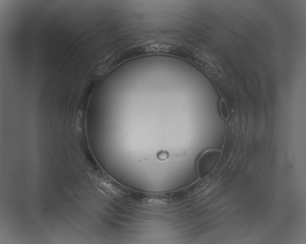 X0000075340649200610061656