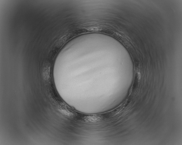 X0000075340652200610061656