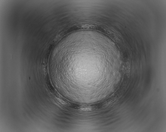 X0000075340653200610061656
