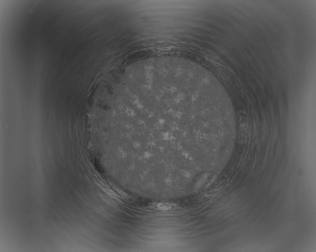 X0000075340654200610061656