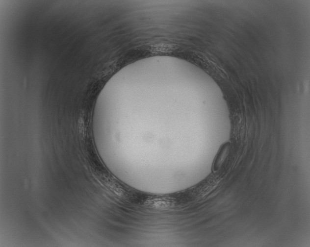 X0000075340655200610061656