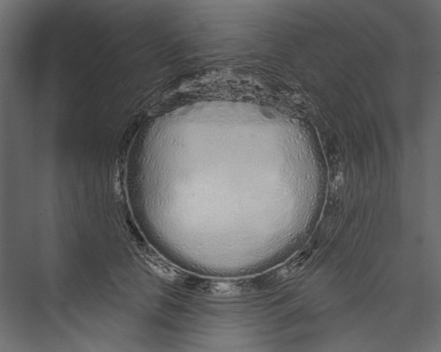 X0000075340658200610061656