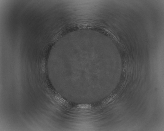 X0000075340659200610061656