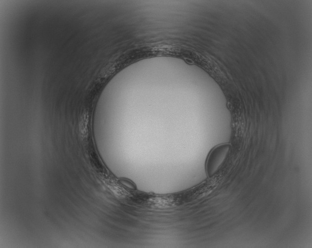 X0000075340660200610061656
