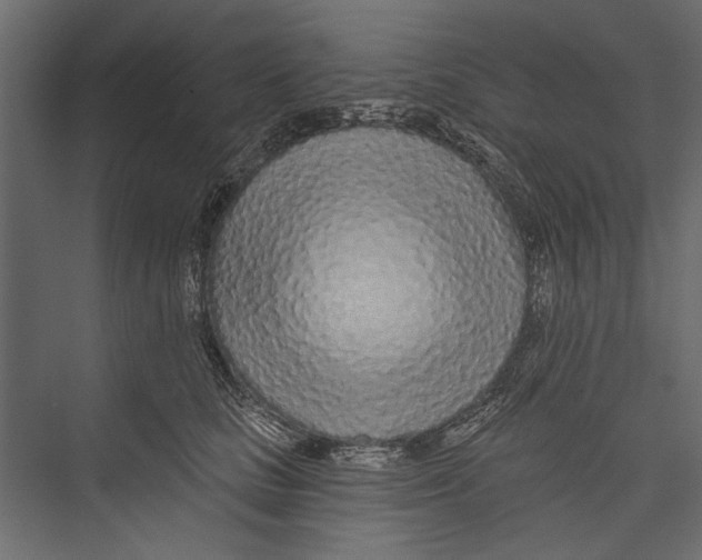 X0000075340661200610061656