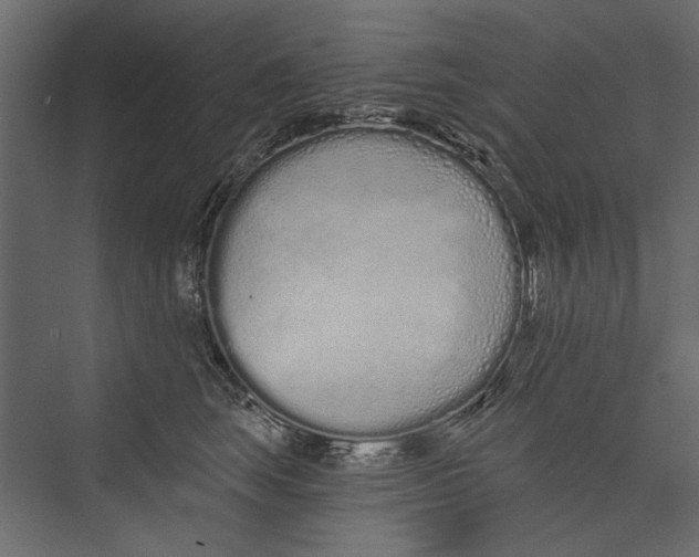 X0000075340663200610061656