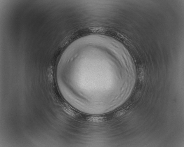 X0000075340664200610061656