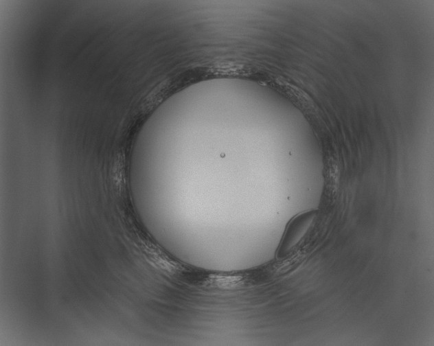 X0000075340665200610061656