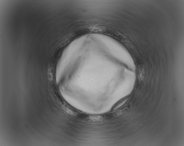 X0000075340666200610061656