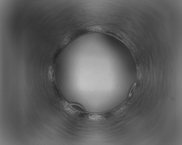 X0000075340669200610061656