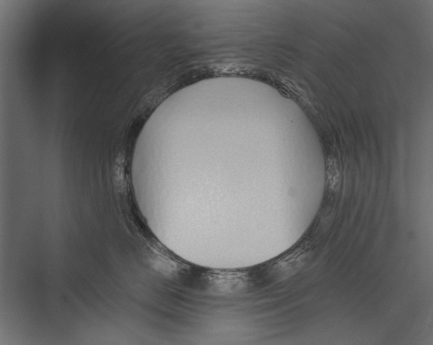 X0000075340670200610061656