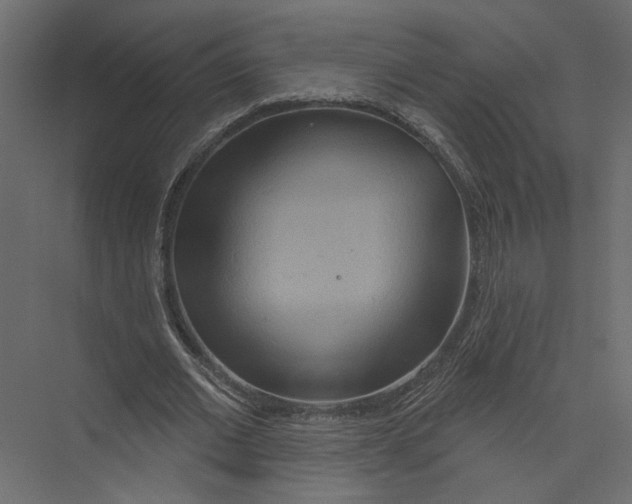 X0000075340677200610061655