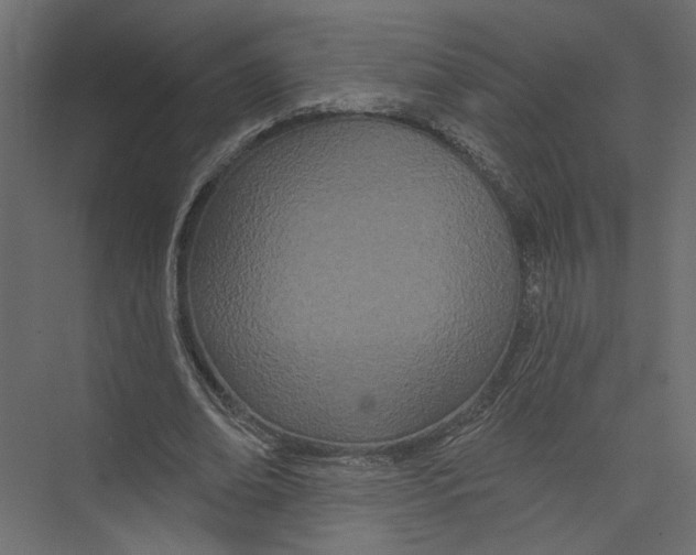 X0000075340678200610061655