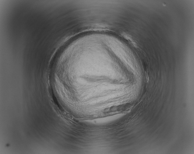 X0000075340679200610061655