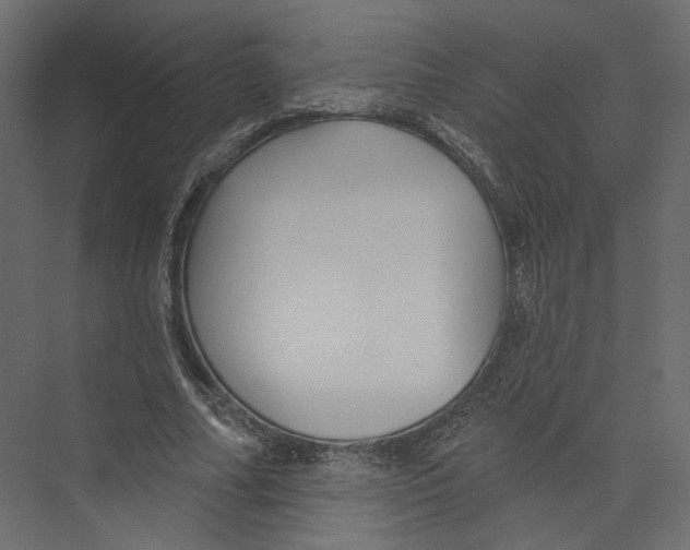 X0000075340682200610061655