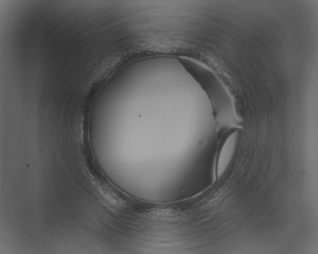 X0000075340685200610061655