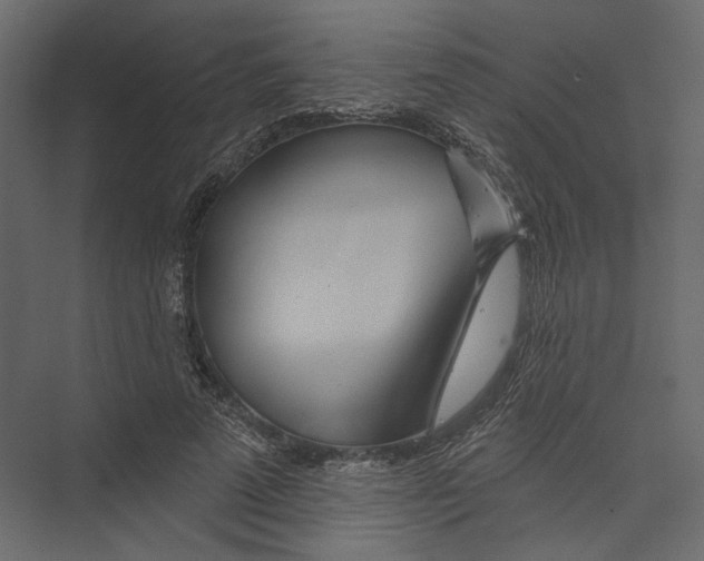 X0000075340689200610061655