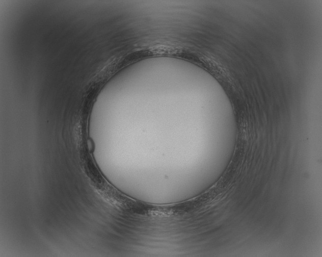 X0000075340690200610061655