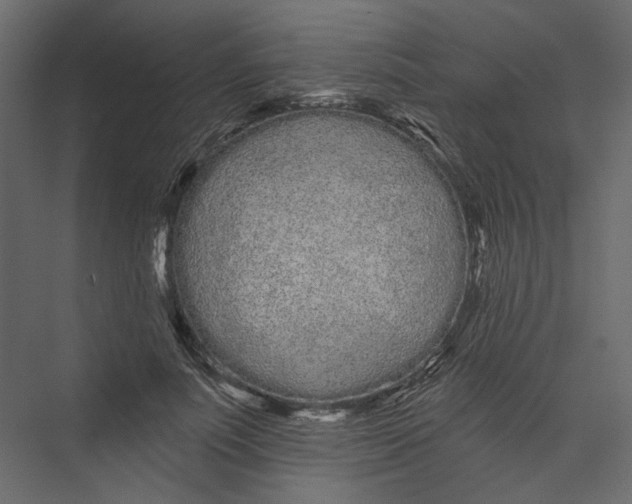 X0000075340691200610061655