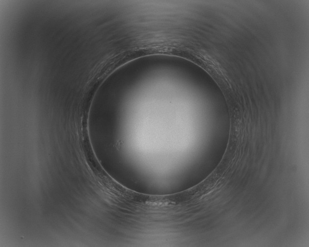 X0000075340693200610061655