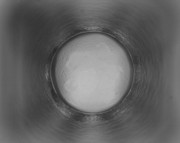 X0000075340695200610061655