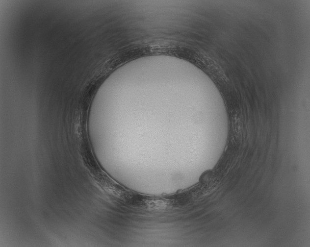 X0000075340698200610061655