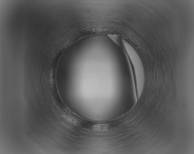 X0000075340700200610061655