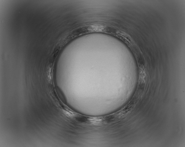 X0000075340701200610061655