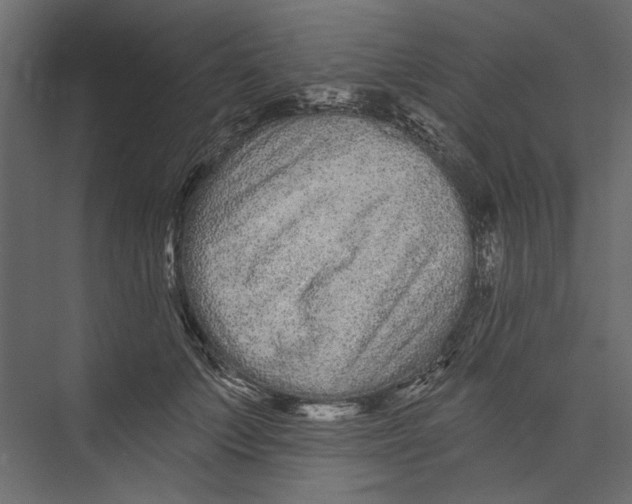 X0000075340703200610061655