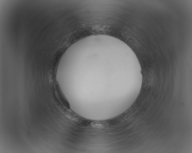 X0000075340706200610061655